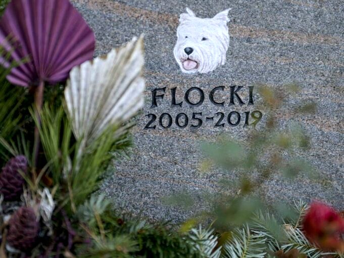 Ein Mensch Hund Friedhof Ermoeglicht Die Gemeinsame Beerdigung Mit Einem Hund