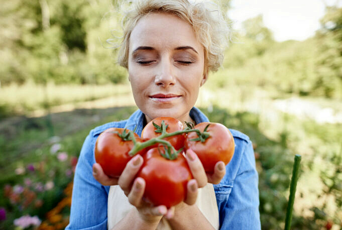 Wann Tomaten Pflanzen Tomaten Anbauen Die Kunst Des Tomatenanbaus